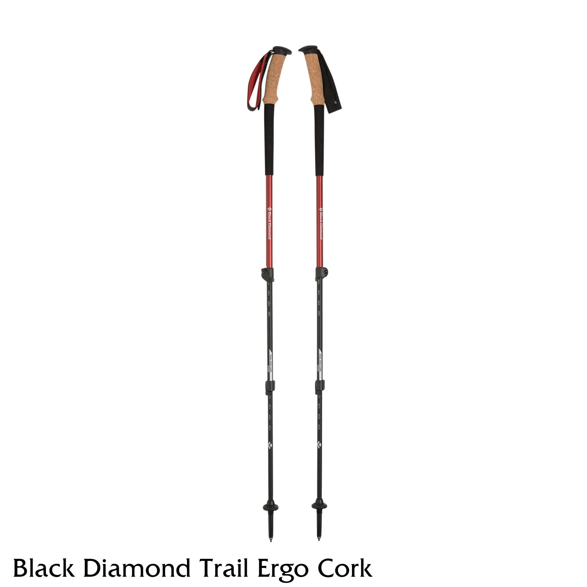 Black Diamond Trail Ergo Cork Trekking Poles