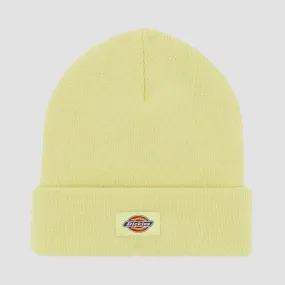 Dickies Gibsland Beanie Pale Green