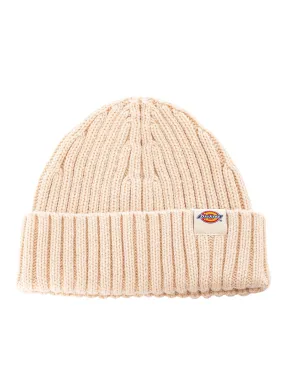 Dickies Logo Beanie - Beige