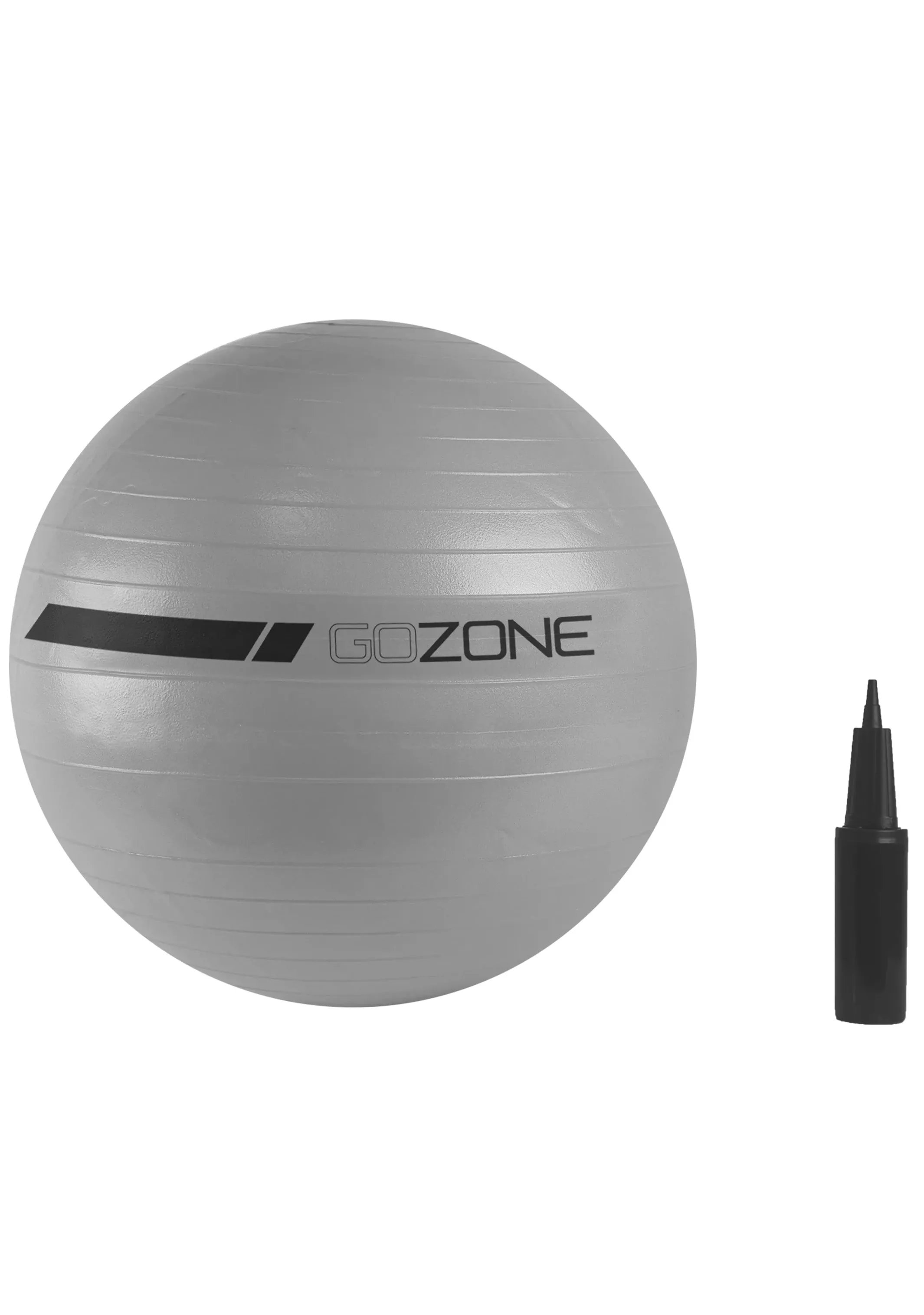 GoZone 65cm Exercise Ball with Pump Included  GZE2075