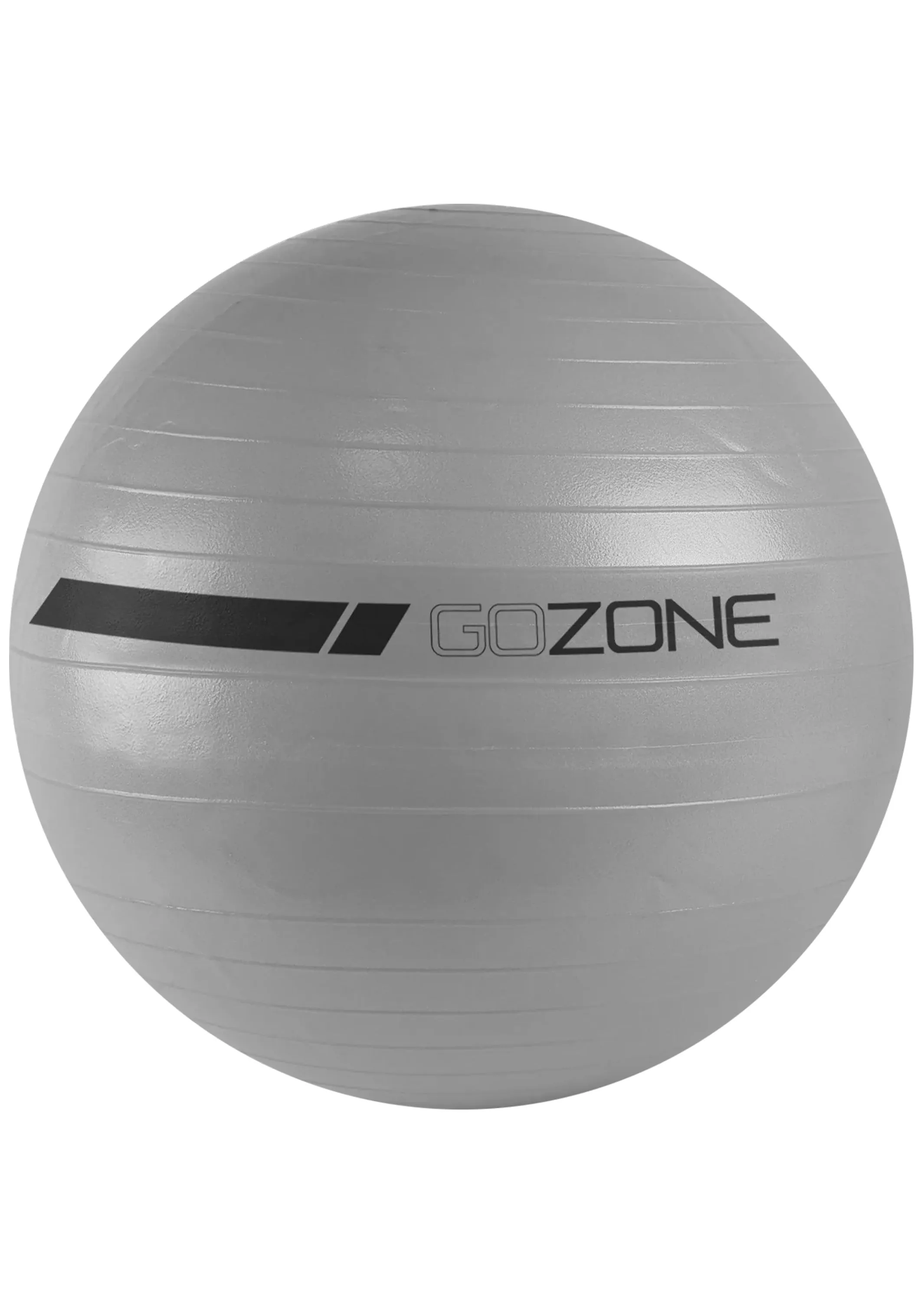 GoZone 65cm Exercise Ball with Pump Included  GZE2075