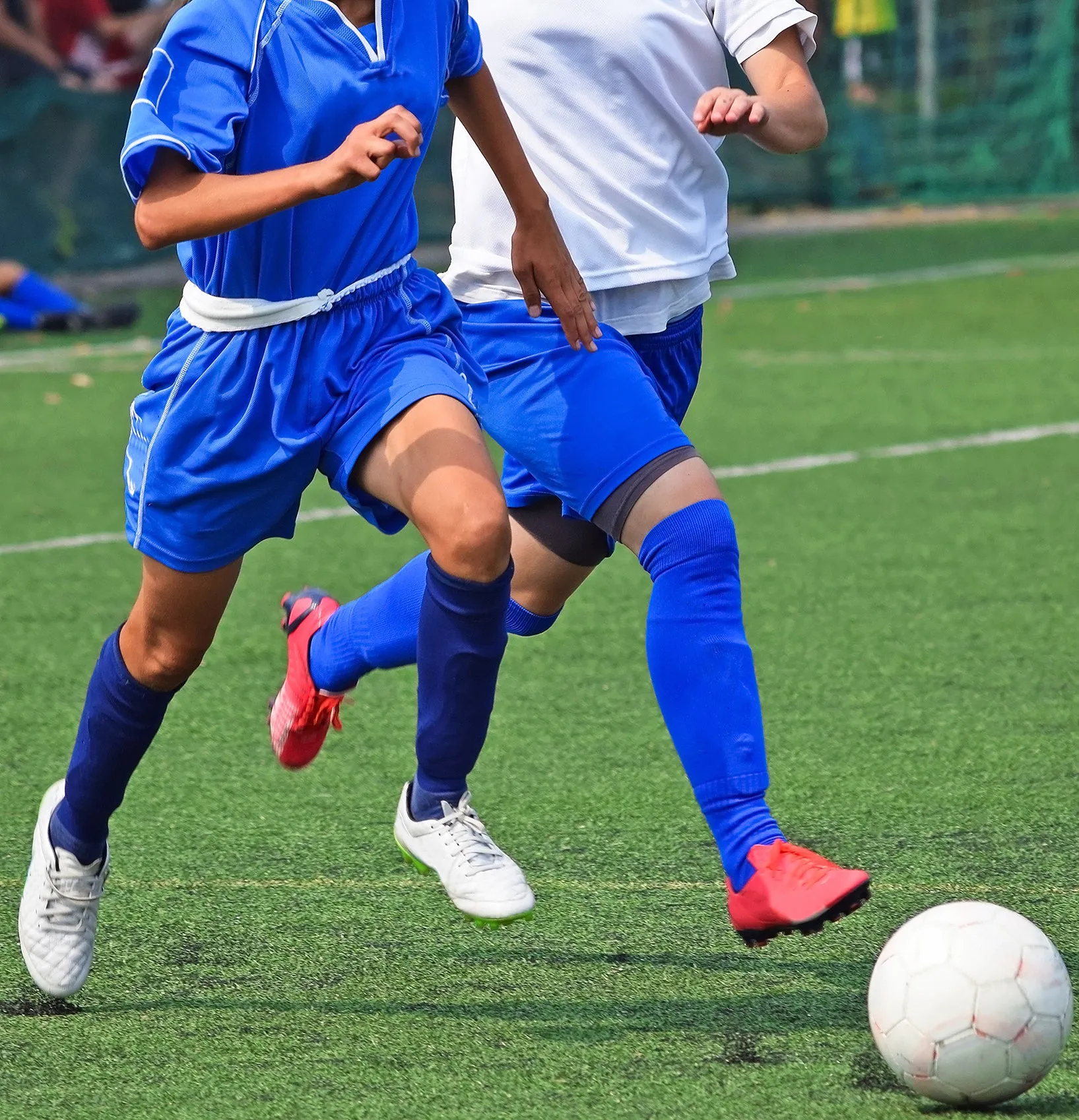 Hue Blue Soccer Knee-High Socks