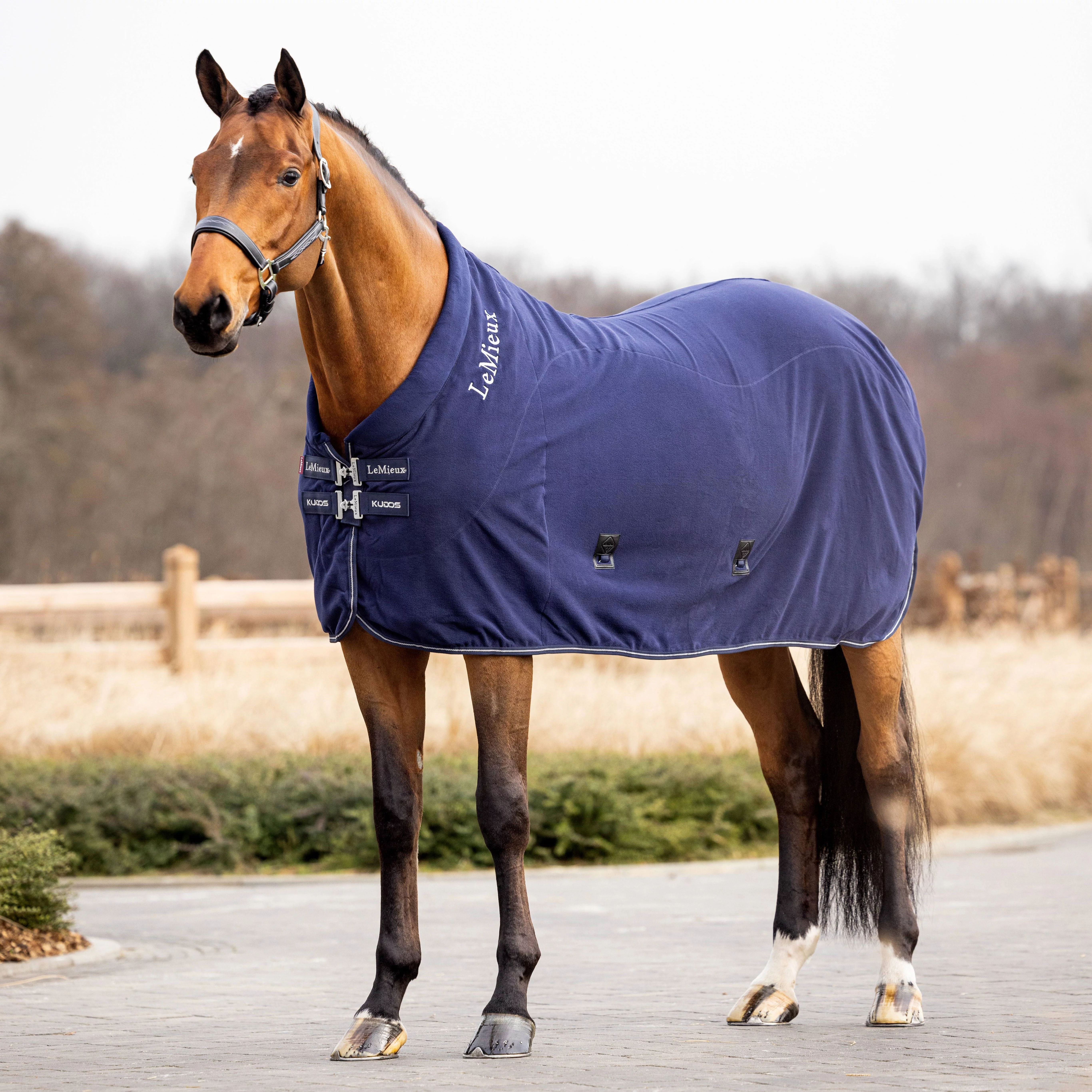 LeMieux Kudos Fleece Cooler Rug