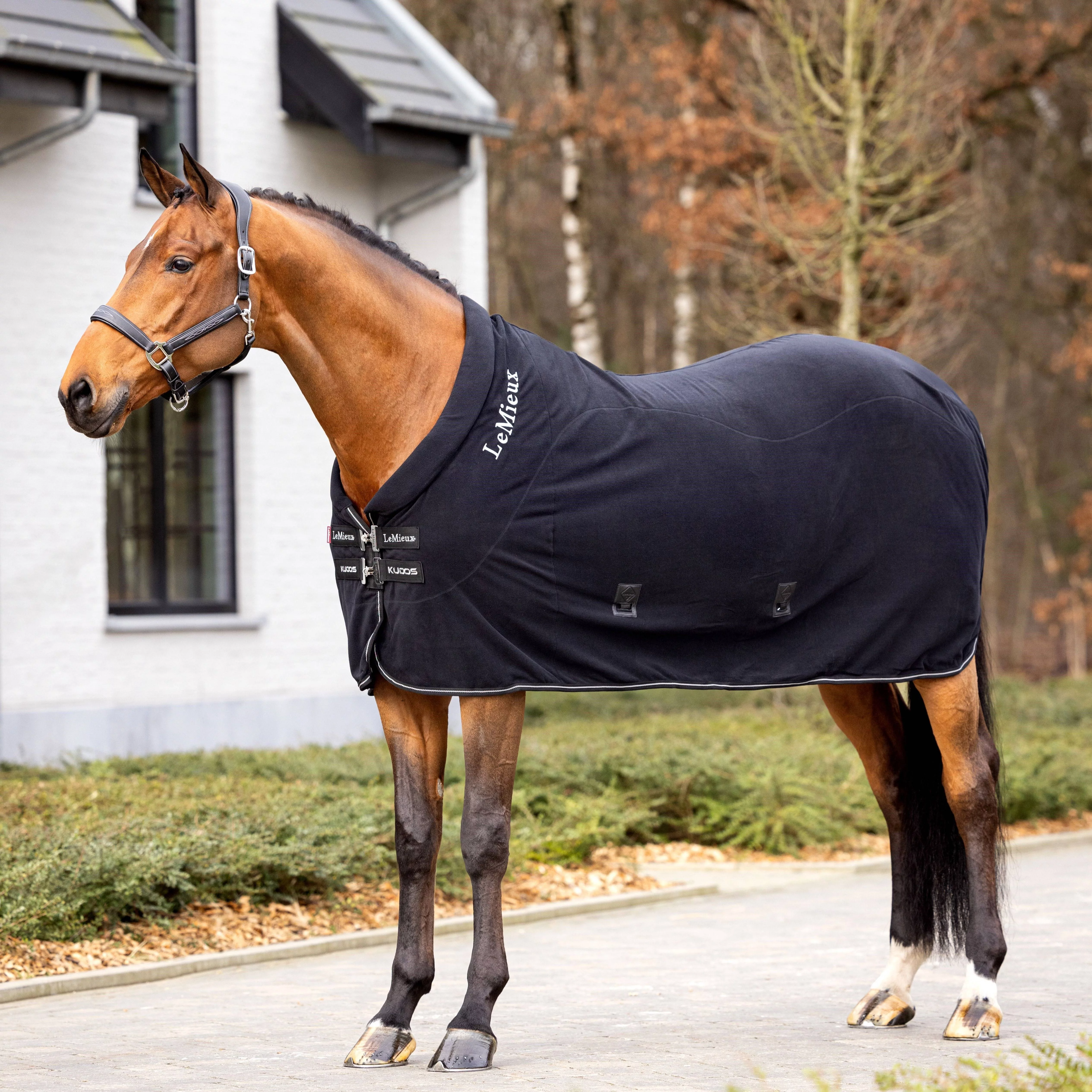 LeMieux Kudos Fleece Cooler Rug