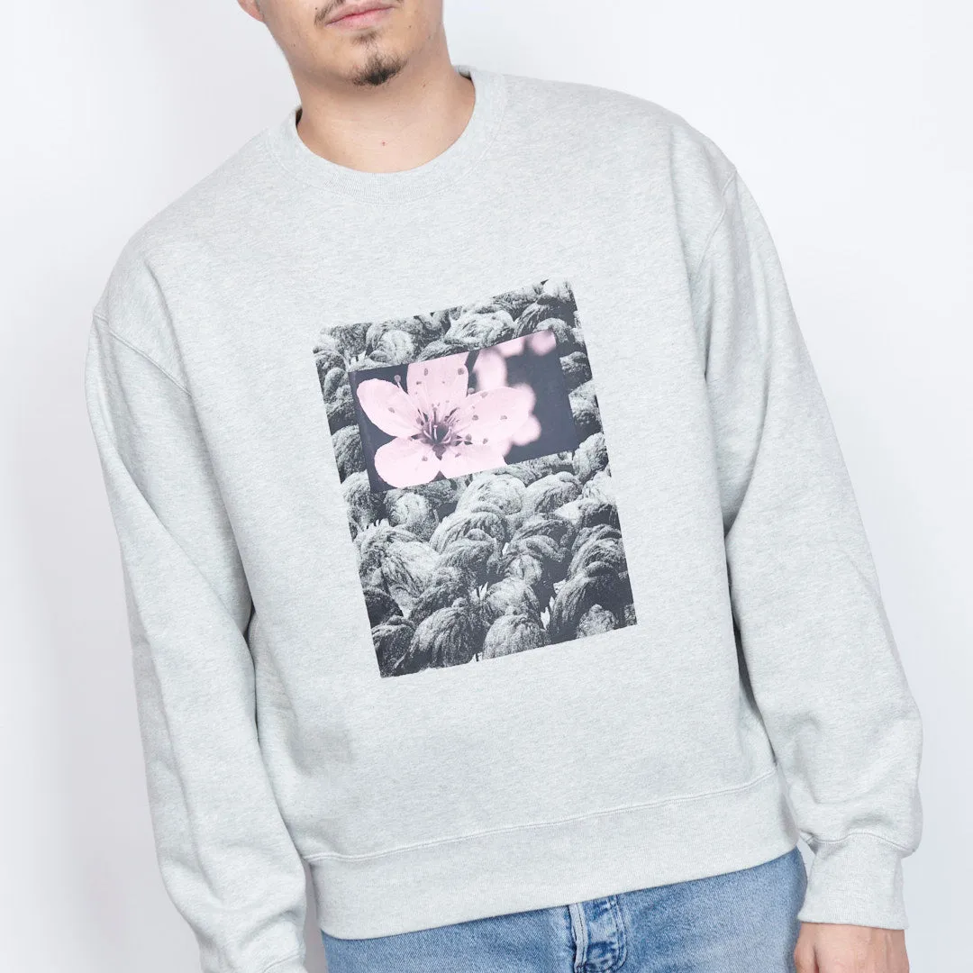 Nike SB - Fleece Crew Natural Boarder (Heather Grey)