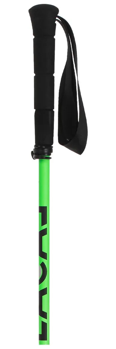 Poles Lacal ---Quick Stick Carbon 115-121 Vert