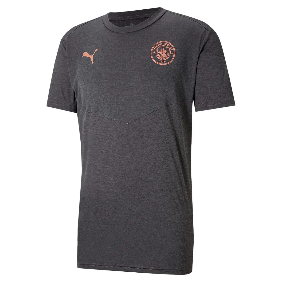 PUMA Manchester City 20/21 Warmup Tee (Gray)