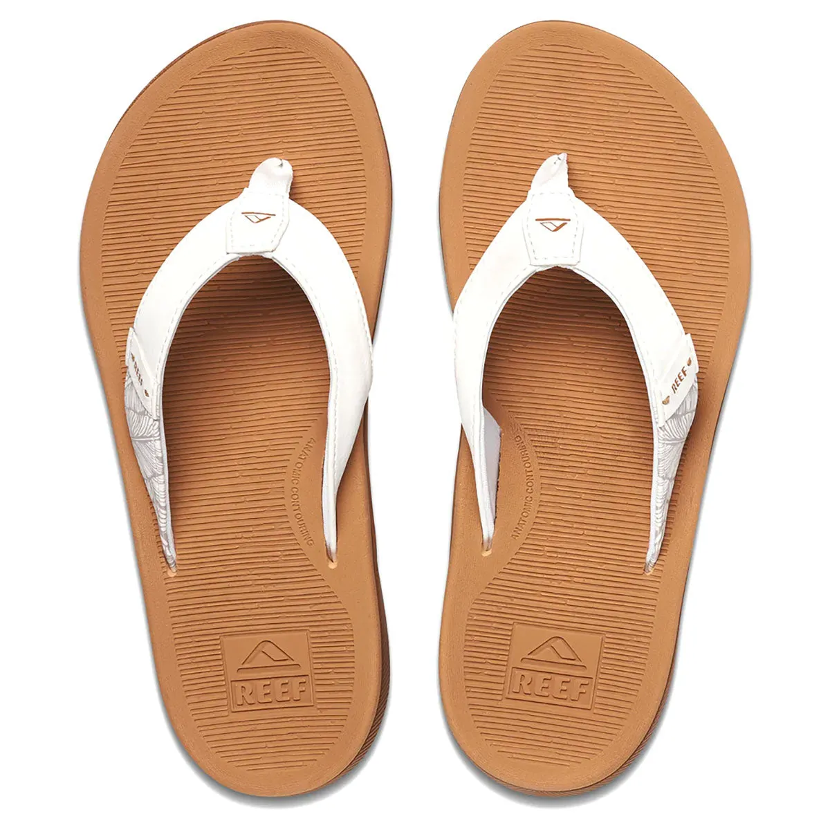 Reef Women's Santa Ana Flip Flops - Cloud