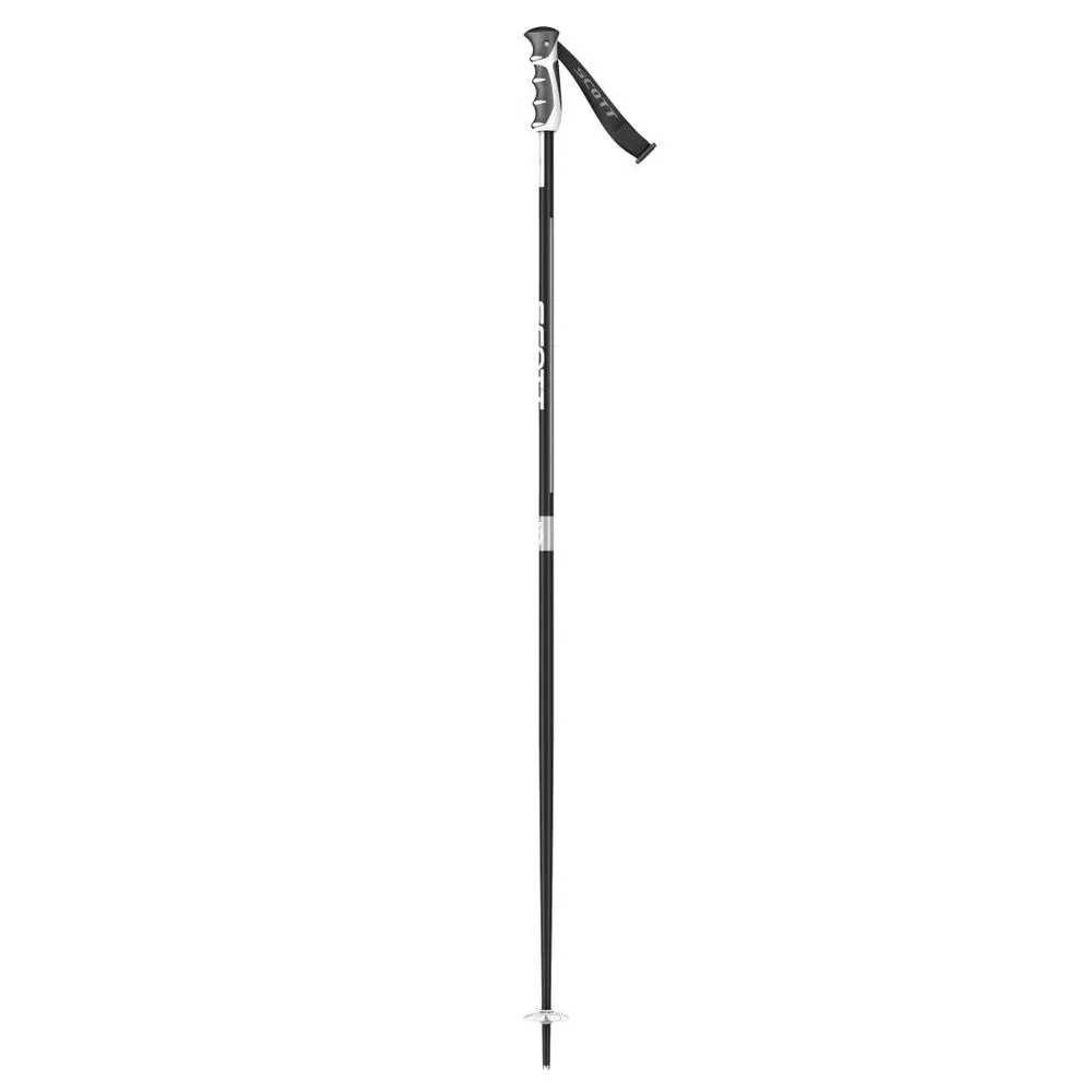 Sun Valley Ski Poles