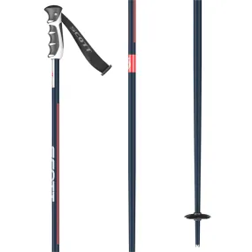 Sun Valley Ski Poles