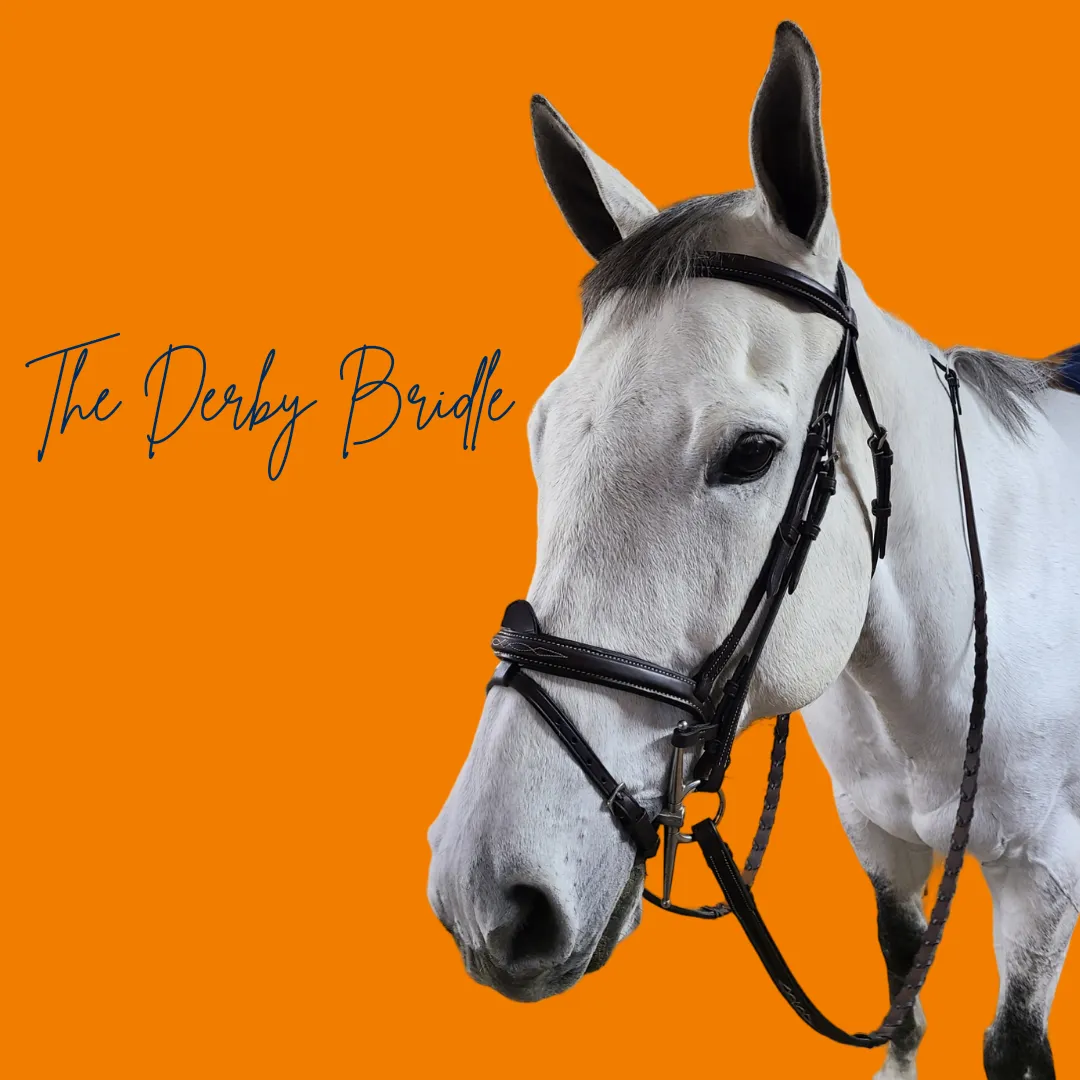 The In Gate Derby Bridle™ with Removable Flash and Laced Reins