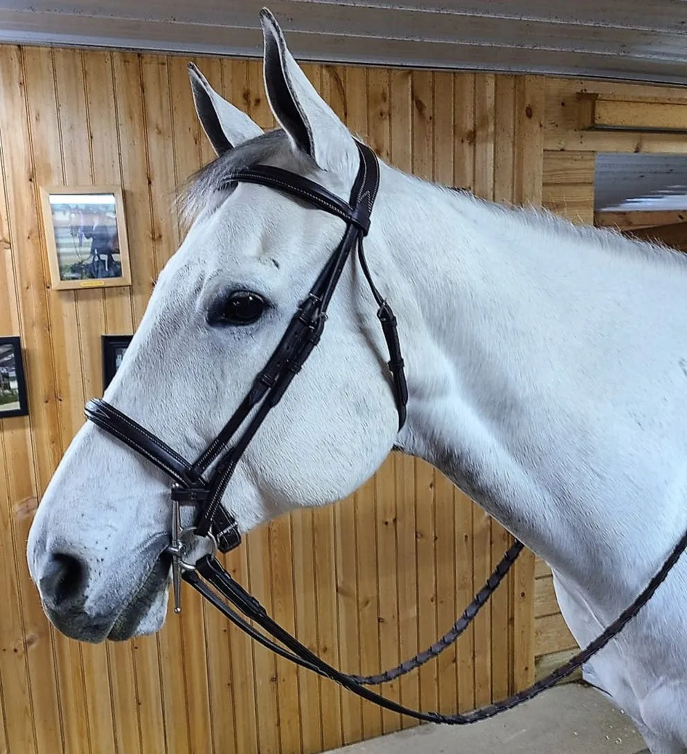 The In Gate Derby Bridle™ with Removable Flash and Laced Reins